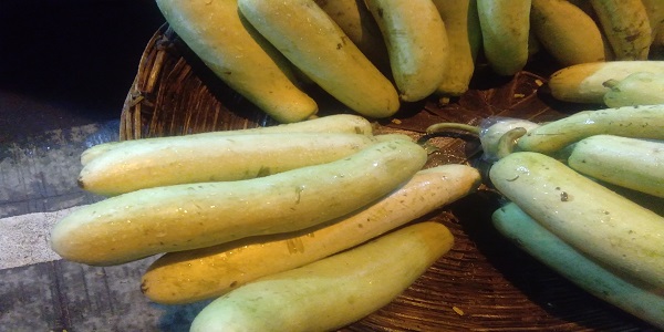 lauki-bottle-gourd-best-summer-food