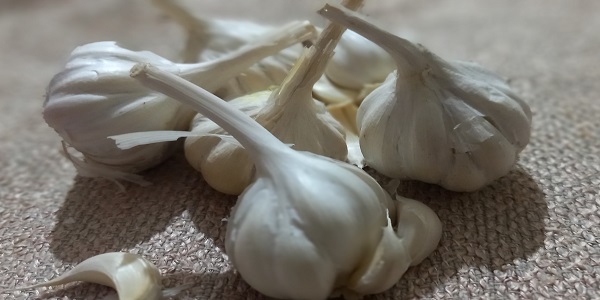 Read more about the article Garlic – Benefit & More